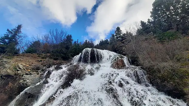 Konya'da doğanın gizli mucizesi! Yılda sadece 2 ay görünüyor