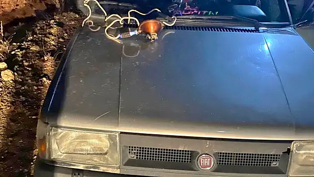 Konya'da far avı yapanlara rekor ceza!