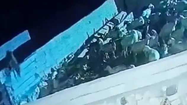 Konya'da gece yarısı kurt saldırısı