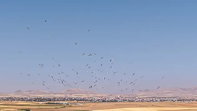 Konya'da gökyüzünde görsel şölen!