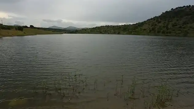 Konya'da Gölet'ten çıkan şey şoke etti! Bakanlık harekete geçti…