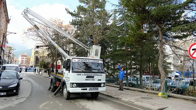 Konya'da güvenlik için ağaçlarda risk odaklı budama mesaisi