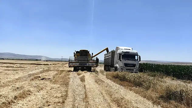 Konya'da hasat başlamıştı! O ürünlerin fiyatında ciddi artış...