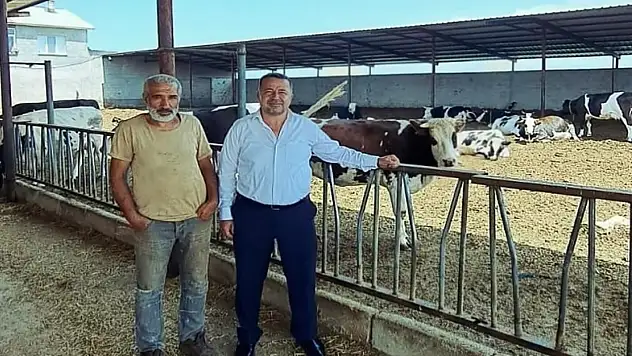 Konya'da hayvan gübreleri değerlendiriliyor