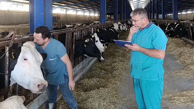 Konya'da hayvan sağlığı için sahada kapsamlı denetim mesaisi