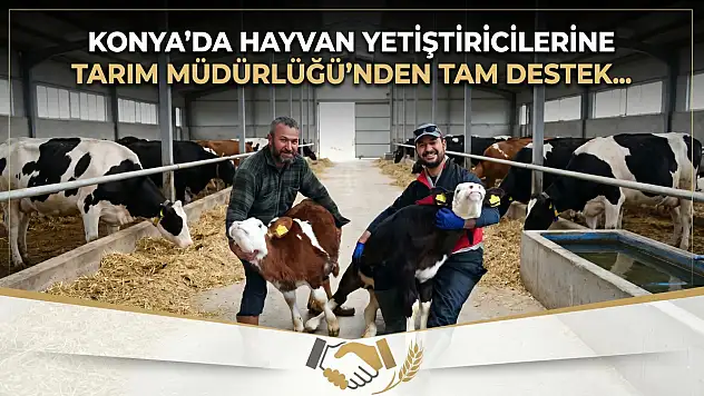 Konya'da hayvan yetiştiricilerine Tarım Müdürlüğü'nden tam destek