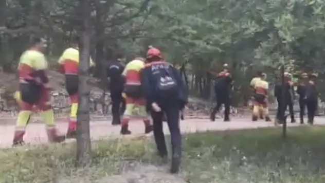 Konya'da hayvanlarını otlatan kadın kayboldu: Her yerde aranıyor!
