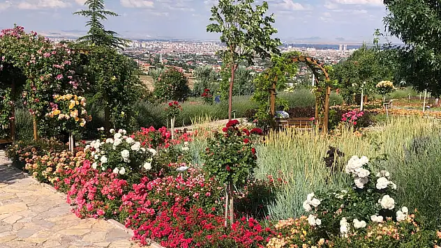 Konya'da huzur arayanların yeni değil vazgeçilmez adresi