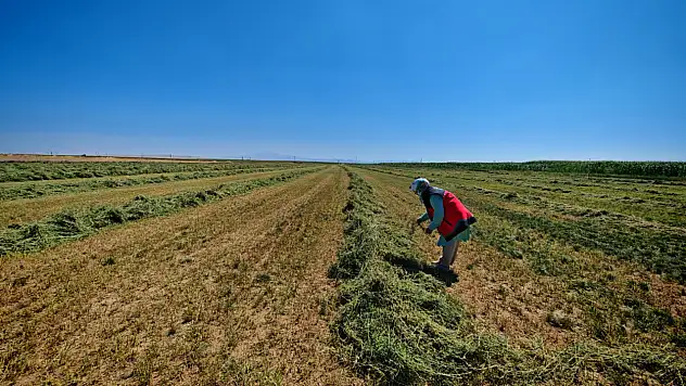 Konya'da iki ürün denetim altında! Tarlada yoğun mesai...