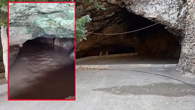 Konya'da iki yıl sonra sevindiren görüntü! Bereketle birlikte yeniden coştu