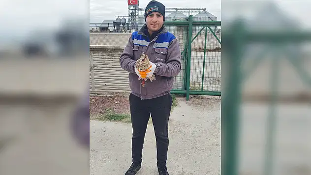 Konya'da iş yerinin bahçesinde yaralı halde buldu, hemen ekipleri aradı