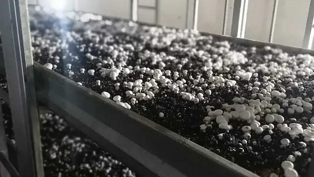 Konya'da işletmeler tek tek kontrol ediliyor