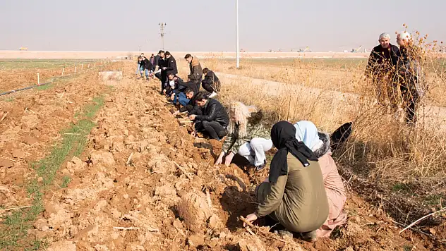 Konya'da, işte o proje hayata geçirildi!