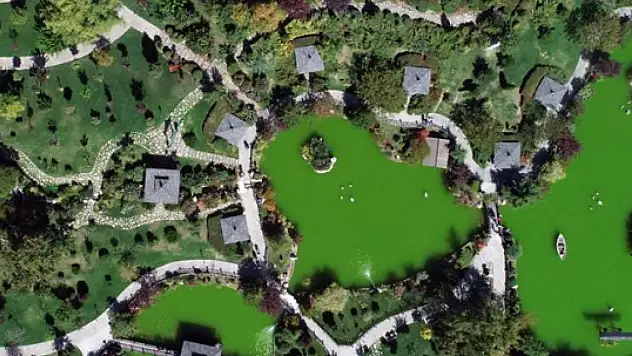 Konya'da Japon esintisi: Türkiye'nin en büyüğü!