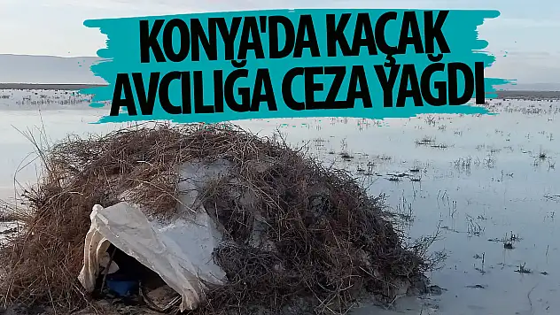 Konya'da kaçak avcılığa ceza yağdı!
