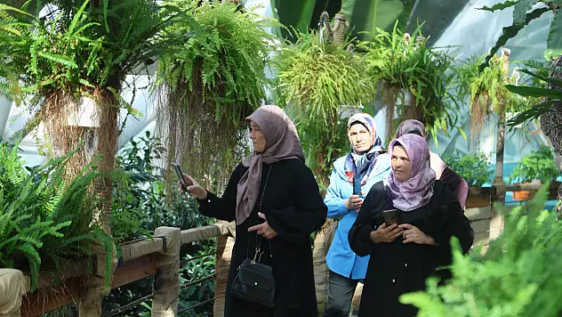 Konya'da kadın emeği tarıma can veriyor