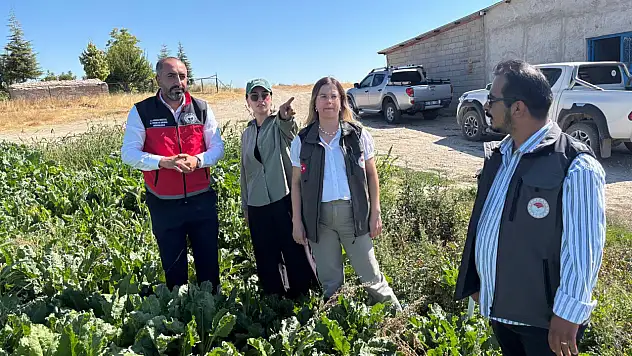 Konya'da kadınların üretim gücü için sahaya çıkıldı