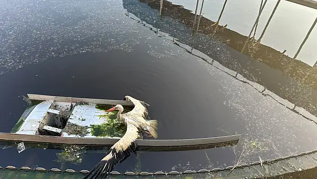 Konya'da kanal içinde mahsur kaldı! Ekipler seferber oldu