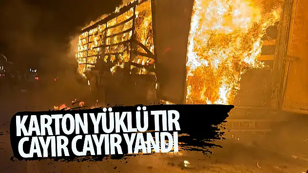 Konya'da karton yüklü tır alevlere teslim oldu!