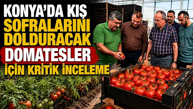 Konya'da kış sofralarını dolduracak domatesler için kritik inceleme
