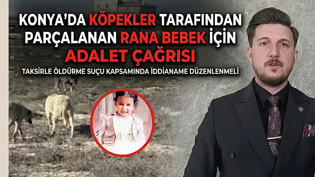 Konya'da köpekler tarafından parçalanan Rana bebek için adalet çağrısı: 'Taksirle öldürme suçu kapsamında iddianame düzenlenmeli'