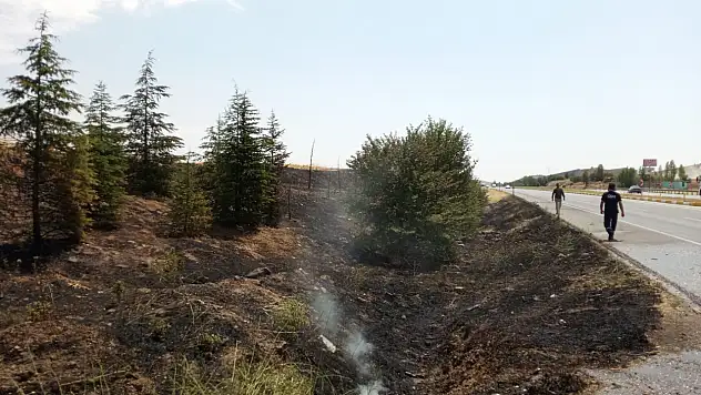 Konya'da korkutan yangın: Alevler ağaçlara sıçradı