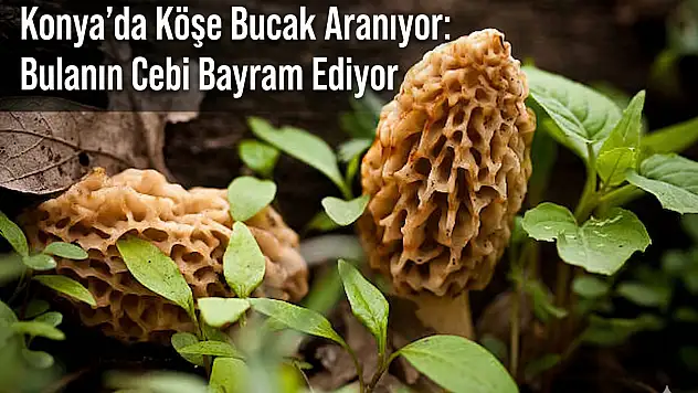 Konya'da köşe bucak aranıyor: Bulanın cebi bayram ediyor