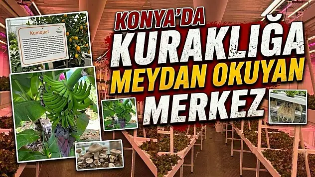 Konya'da kuraklığa meydan okuyan merkez