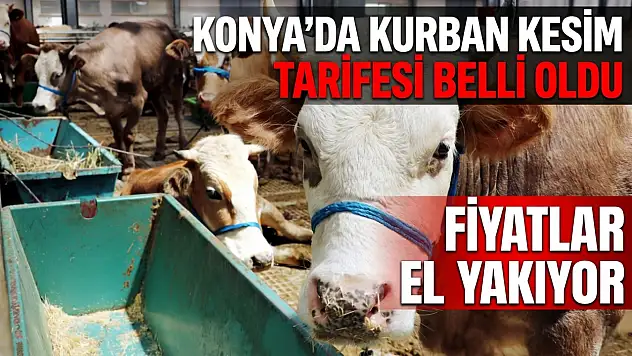 Konya'da kurban kesim tarifesi belli oldu: Fiyatlar el yakıyor!
