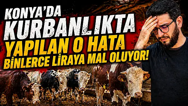 Konya'da kurbanlıkta yapılan o hata binlerce liraya mal oluyor!