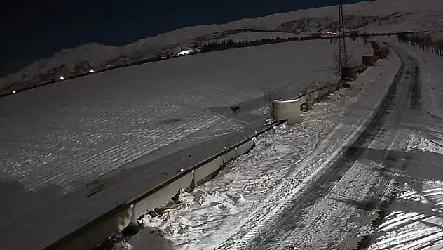 Konya'da kurtlar şehir merkezine yaklaştı