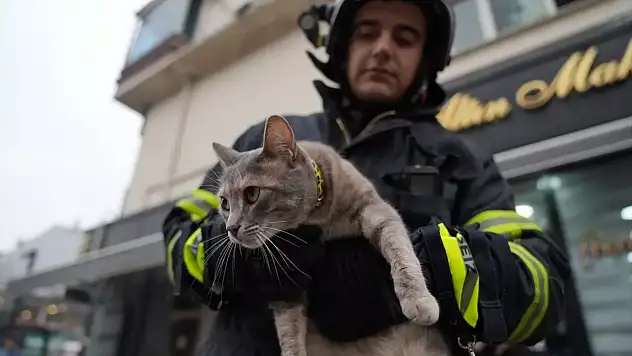 Konya'da kuyuya düşen kedinin yardımına itfaiye ekipleri yetişti