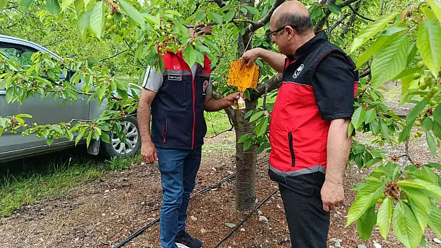 Konya'da mahsul erken uyarı sistemine emanet