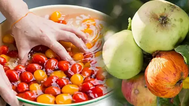 Konya'da meyve ve sebzede pestisit alarmı: 36 işletmeye özel eğitim verildi!