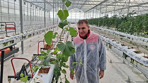 Konya'da modern tarım rüzgarı: Meram'da 25 bin metrekarelik dev sera