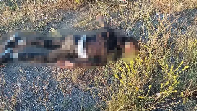 Konya'da motosiklet devrildi: 1 ağır yaralı