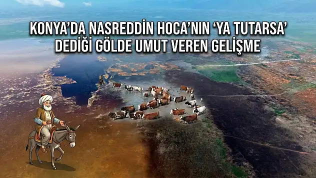 Konya'da Nasreddin Hoca'nın 'Ya tutarsa' dediği gölde umut veren gelişme