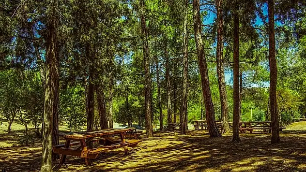 Konya'da o tarihe kadar ormanlık alanlara girişler yasaklandı!