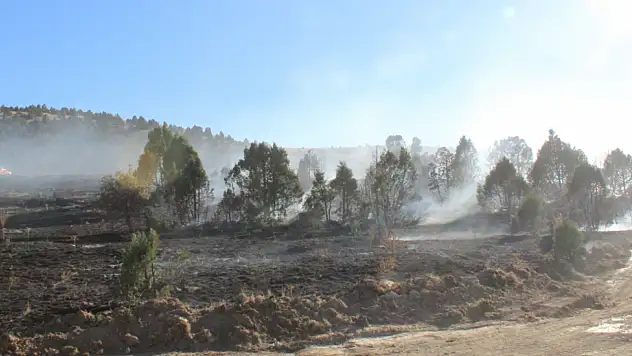 Konya'da orman yangını: 40 dönümlük arazi zarar gördü!