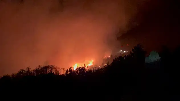 Konya'da orman yangını: Peki, son durum ne?