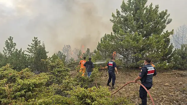 Konya'da ormanlık alanda yangın!