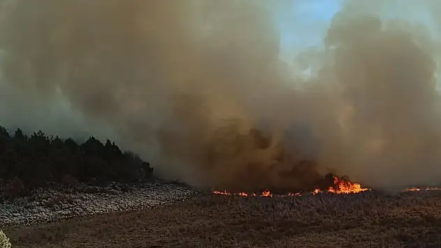 Konya'da peş peşe yangın! Sazlıklar alev alev yandı