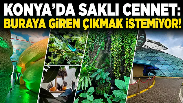 Konya'da saklı cennet: Buraya giren çıkmak istemiyor!