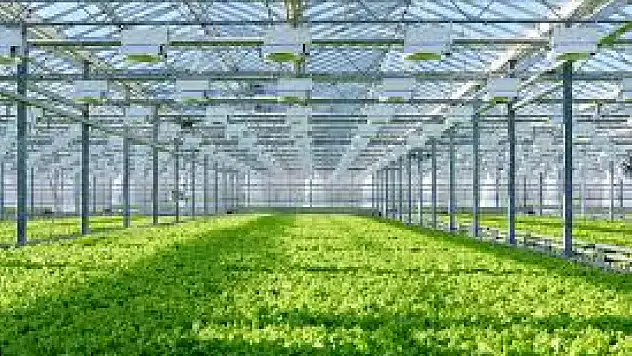 Konya'da seracılık faaliyetlerine devlet desteği