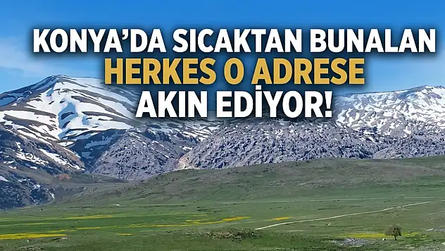 Konya'da sıcaktan bunalan herkes o adrese akın ediyor!