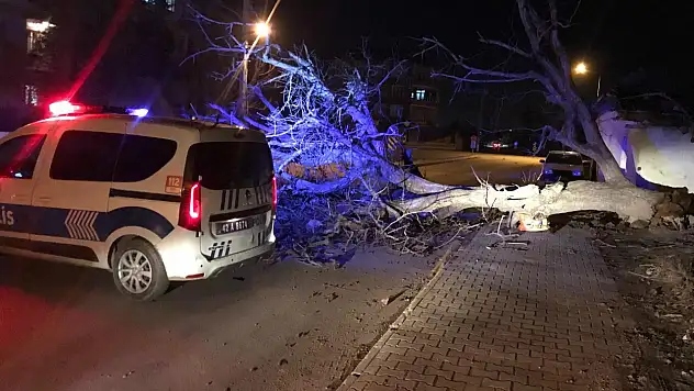 Konya'da şiddetli rüzgar yıktı geçti!