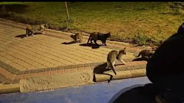 Konya'da skandal iddia: Din görevlisinin yaptığı öne sürülen olay pes dedirtti!