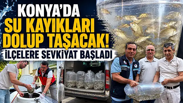 Konya'da su kayakları dolup taşacak! İlçelere sevkiyat başladı