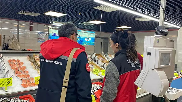 Konya'da su ürünleri mercek altında: Denetimler hız kesmiyor