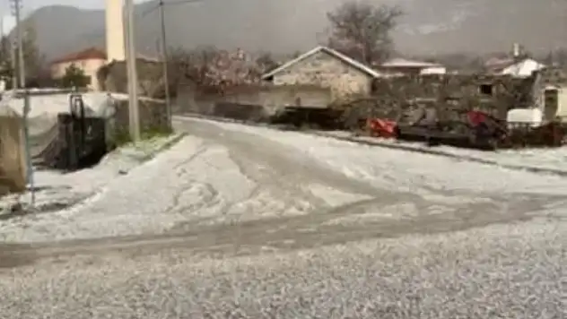 Konya'da tarım tehdidi! Aniden bastıran dolu ağaçları ve meyve bahçelerini vurdu